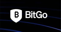 BitGo Logo