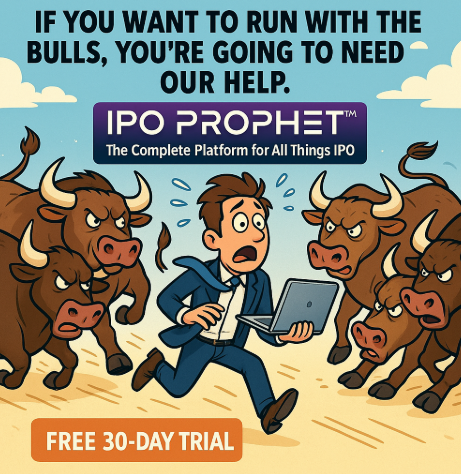 Running with the Bulls 4